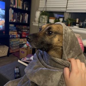 Meet your Posher, Paige